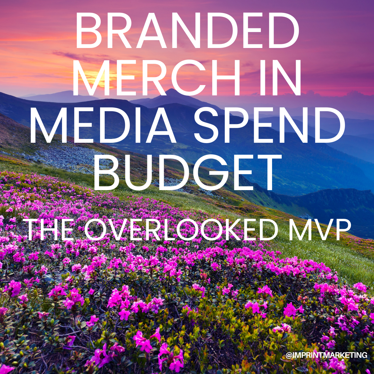 Branded Merch in Media Spend Budget: The Overlooked MVP